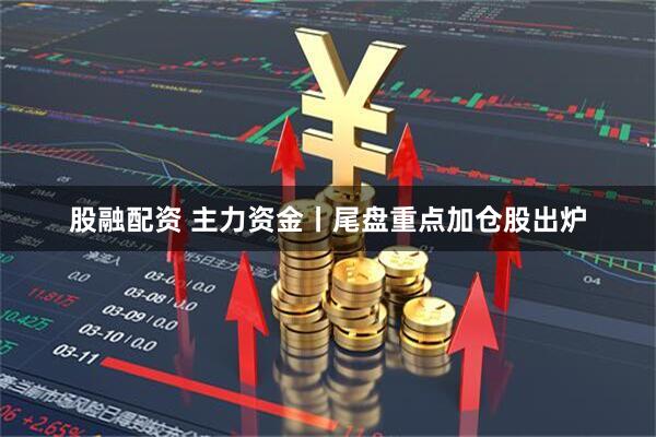 股融配资 主力资金丨尾盘重点加仓股出炉